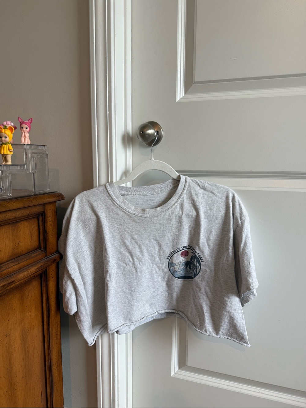 Brandy Melville Cropped Graphic Tee